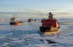 Архангельская область и Индия обсудили сотрудни...