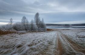 Ночные заморозки до -2°С ожидаются в Архангельс...
