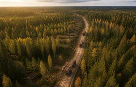 Цыбульский поздравил работников леса и отметил ...
