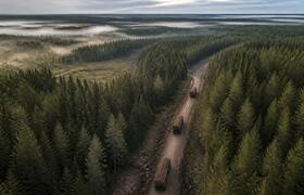 Цыбульский: крупные компании дают 70% заготовки...