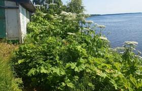 Суд обязал муниципалитет выплатить 100 тысяч ру...