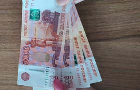 Житель Шенкурского района обвиняется в покушени...